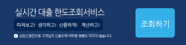 실시간 대출 한도조회서비스